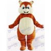 Squirrel Animal Adult Mascot Costume