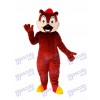 Squirrel Bear Mascot Adult Costume