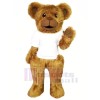 New Cute Bear Mascot Costumes Cartoon
