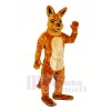 Quality Kangaroo Mascot Costumes Cartoon
