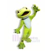 School Cute Frog Mascot Costumes Cartoon