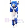 College Blue Bull Mascot Costumes