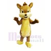 Cute Furry Chipmunk Mascot Costumes 