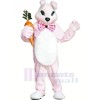 Pink Bunny Rabbit with Carrot Mascot Costumes Animal