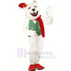 Holiday Polar Bear Mascot Costumes Cartoon