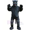 Sleek Black Panther Mascot Costumes Cartoon