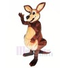 Cute Kangaroo Mascot Costumes Cartoon