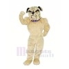 Realistic Bulldog Mascot Costumes Cartoon
