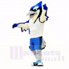 Sport Blue and Black Bird Mascot Costumes School