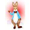 Peter Rabbit Mascot Costume Cartoon