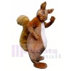 High Quality Furry Squirrel Mascot Costumes 