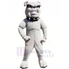 Lightweight Grey Bulldog Mascot Costumes Adult	