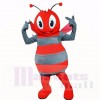 Smiling Grey and Red Bee Mascot Costumes Cartoon