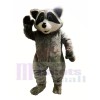 Cute Lightweight Raccoon Mascot Costumes