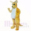 Friendly Lightweight Kangaroo Mascot Costumes Adult