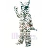 Friendly Zebra Mascot Costumes Cartoon	