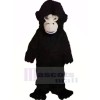 Fierce Black Gorilla Mascot Costumes Cheap