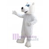 Bear mascot costume