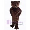 Beaver mascot costume