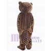Beaver mascot costume