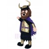 Viking Mascot Costume
