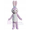 Bunny mascot costume