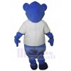 Bear mascot costume