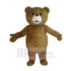 Bear mascot costume