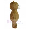 Bear mascot costume
