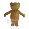 Bear mascot costume