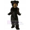 Bear mascot costume