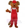 Bear mascot costume
