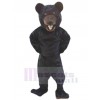 Bear mascot costume