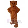 Bear mascot costume