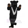 Bear mascot costume