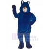 Bear mascot costume