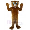 Bear mascot costume