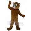 Bear mascot costume