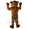 Bear mascot costume
