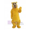 Bear mascot costume