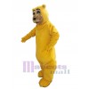 Bear mascot costume