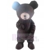 Bear mascot costume