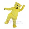 Bear mascot costume