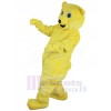 Bear mascot costume