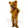 Bear mascot costume