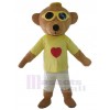 Bear mascot costume