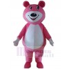 Bear mascot costume