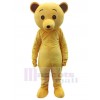 Bear mascot costume