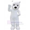 Bear mascot costume