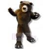 Bear mascot costume